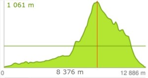 cwiercultramaraton_2015_zmieniona_profil