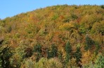 Bieszczady nabierają kolorów przed Maratonem