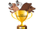 Puchar Fundacji Bieg Rzeźnika 2017