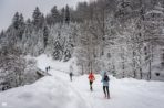 Harmonogram VIII Zimowego Maratonu Bieszczadzkiego