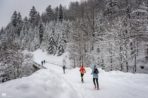 Obowiązkowe wyposażenie i kary czasowe