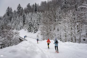Harmonogram IX Zimowego Maratonu Bieszczadzkiego