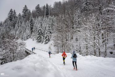 Harmonogram X Zimowego Maratonu Bieszczadzkiego