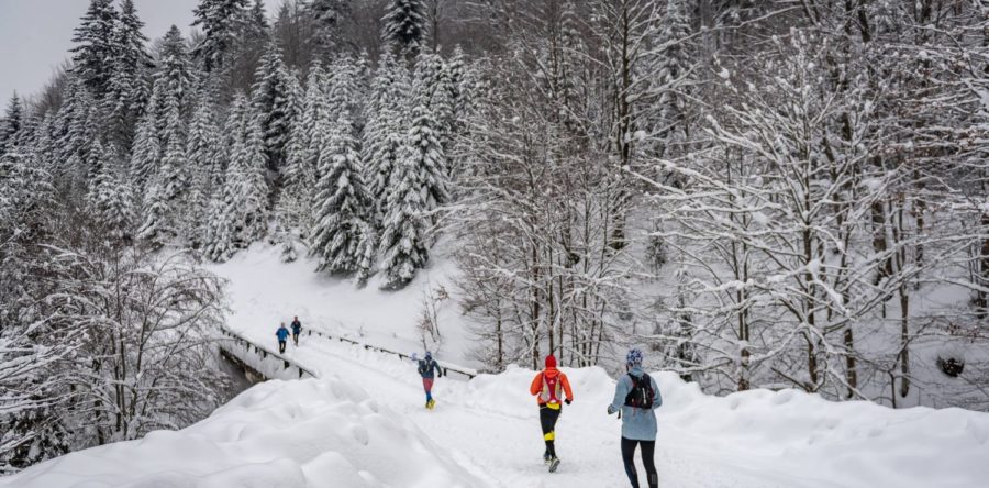 Harmonogram X Zimowego Maratonu Bieszczadzkiego