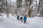 Nowy termin, przepisanie lub rezygnacja z udziału w Zimowym Maratonie Bieszczadzkim.