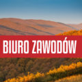 Biuro zawodów